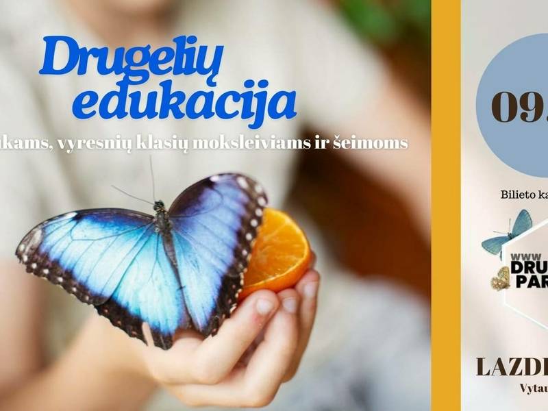 Butterfly exhibition in Lazdijai. Education for elementary school students, high school students, and families