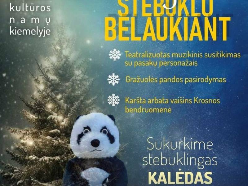 Kalėdų eglutės įžiebimo šventė "Dangiško stebuklo belaukiant"