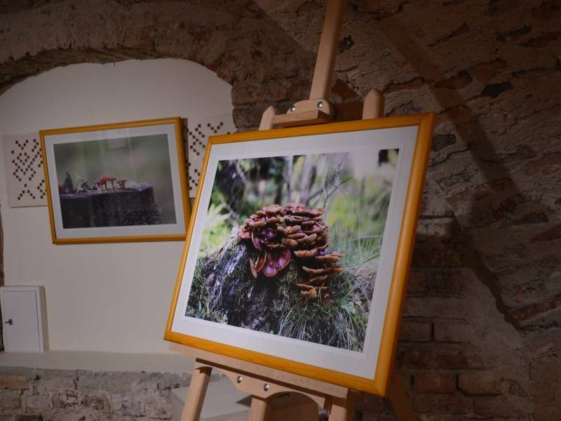 Bronius Krakevičius' photography exhibition "A Walk Through Dzūkija"