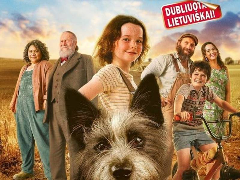 Kino filmas vaikams „Mažasis čempionas“